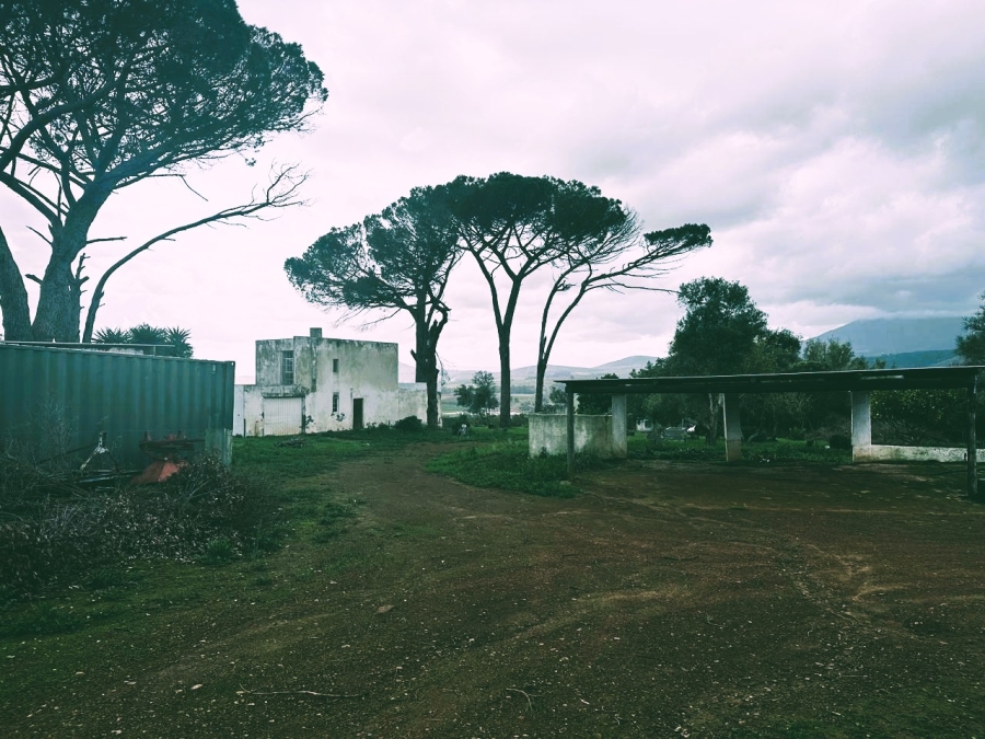 10 Bedroom Property for Sale in Stellenbosch Farms Western Cape